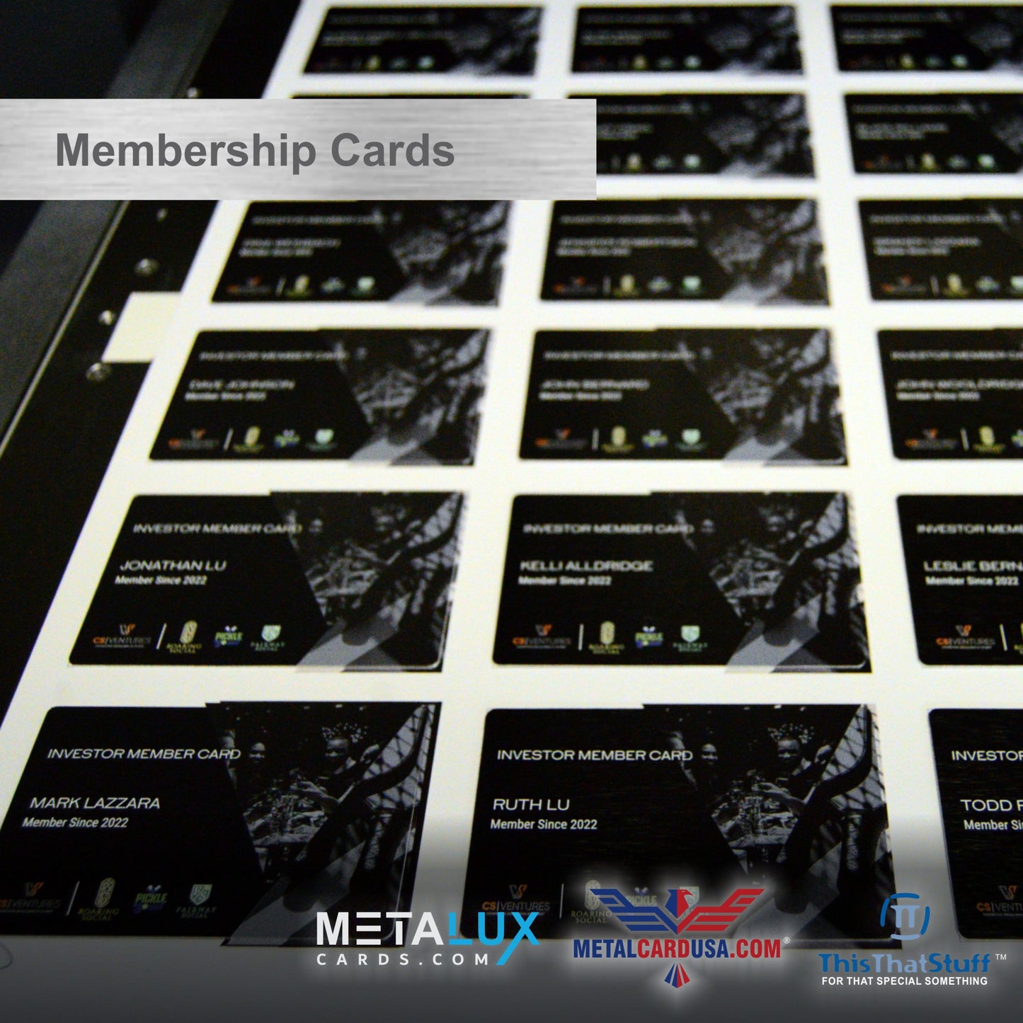 Custom Printed AluSeries Metal Cards | Credit Card Sized | Aluminum for Membership Cards, Business Cards and Invitations